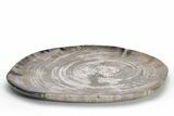 Tropical Hardwood Petrified Wood Dish - Indonesia #210597-2